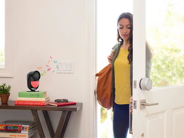 Kit Alarme Residencial com Sensor de Movimento e Controle Remoto