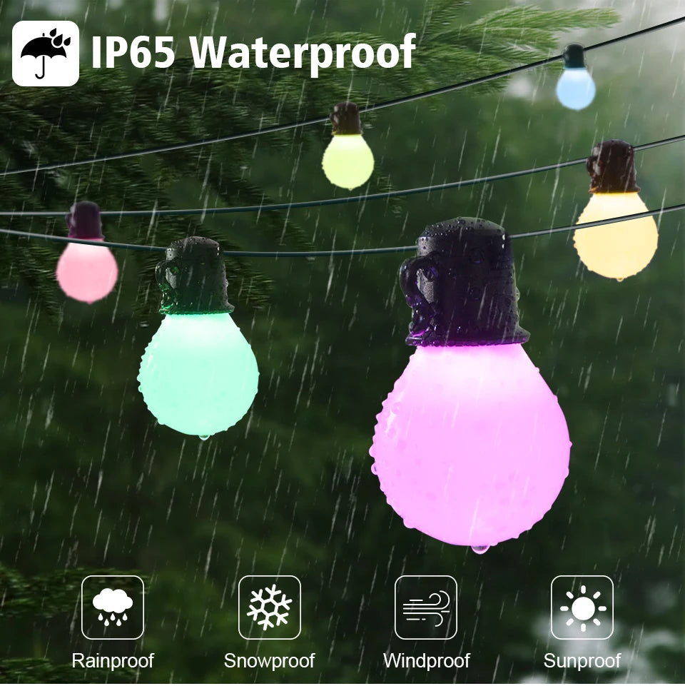 Cordão de Luzes LED Inteligente Tuya Wifi/Bluetooth 15m (25 Lâmpadas)