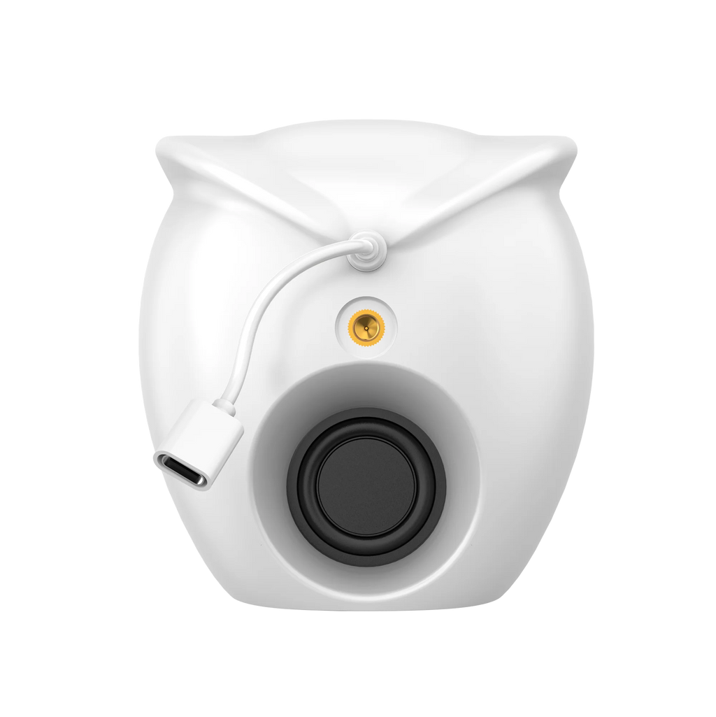 Babá Eletrônica com Câmera Wifi, Visão Noturna e Detecção de Movimento